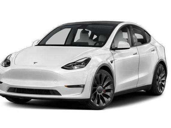TESLA MODEL Y 2023 7SAYGDEF1PF665880 image